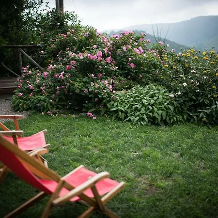 La Canonica Di Nusenna-3